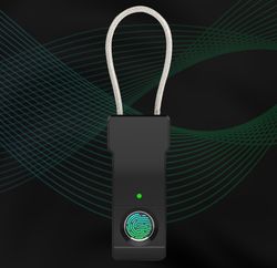 smart fingerprint padlock door lock