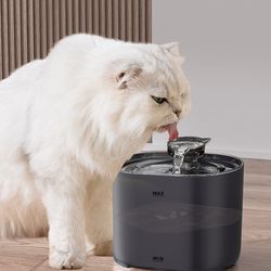 cat automatic water dispenser circulation