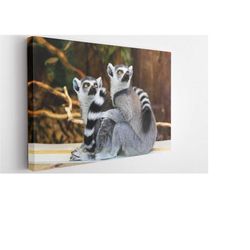 lemur family, canvas wall art print | poster