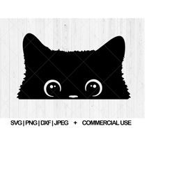 peeking cat svg, cat face svg, dxf, png, jpg, cute cat svg, fur baby svg, funny kitten svg, kitty svg, cute black cat sv