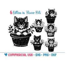 6 flower pot kitten svg bundle,cat silhouette,png,vector,commercial use,transparent background,svg files,svg bundle,for