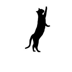 black cat stretching | cat clipart | digital download | png, jpg, svg, eps, dxf