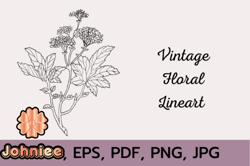 vintage floral line art design 173