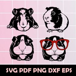 guinea pig svg, guinea pig eps, guinea pig clipart, guinea pig vector, guinea pig png, guinea pig dxf, guinea pig