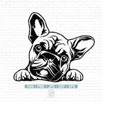 french bulldog svg | frenchie svg | funny dog clipart | pet face png | bulldog breed svg | frenchie clipart print | cric