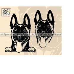 belgian malinois svg, dog svg file for cricut, funny face, breed vector, clipart, png, download, shirt design, dxf cut f