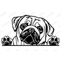 pug peeking dog breed commercial pedigree canine pet funny cute animal logo svg png eps clipart vector cricut cut cuttin