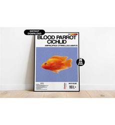 aquarium fish poster, blood parrot cichlid aquarium poster,