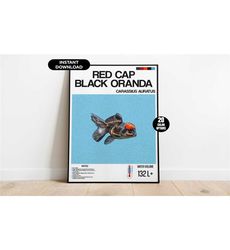 aquarium fish poster, red cap black oranda aquarium