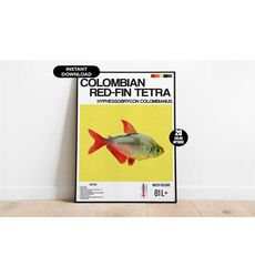 aquarium fish poster, aquarium poster, tropical fish digital