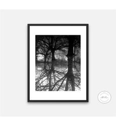 black and white roots and treest abstract photography