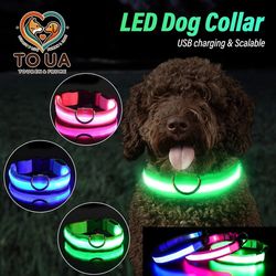 dog collar usb rechargeable light up led collar lights