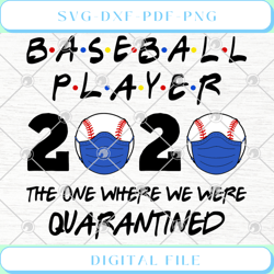 baseball player 2020 the one where we were quarantined svg png eps