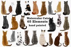 cats clipart graphic png, animal png, watercolor, cat png, cat breeds