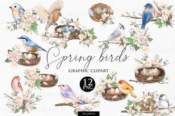 spring birds and flowers graphic clipart png, easter png, spring clipart