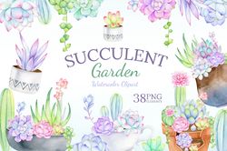 watercolor succulent clipart png, succulent png, floral png