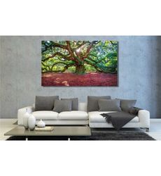 angel oak tree ready to hang canvas wall