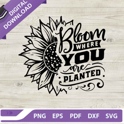 bloom where you are planted svg, sunflower bloom svg, planted svg