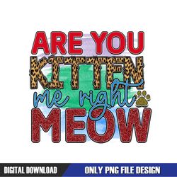 Are You Kitten Me Right Meow PNG