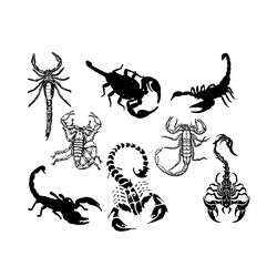 Scorpion Svg Bundle, Trending Svg, Scorpion Svg, Scorpion Clipart, Scorpion Vector, Scorpion Lovers, Insect Svg, Scorpio