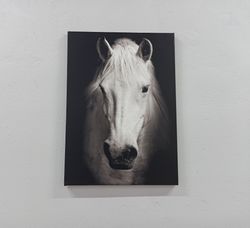 canvas art, canvas home decor, 3d wall art, white horse photo print, horse canvas decor, contemporary wall art, modern a