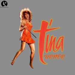 tina turner t