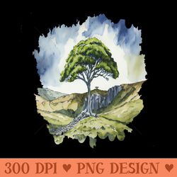 sycamore gap tree - high-quality png download