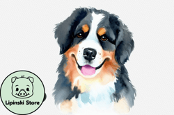 bernese mountain dog watercolor clipart design 99