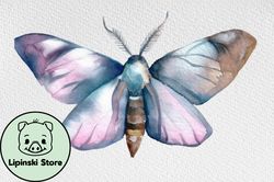 watercolor clipart. moth boho butterfly design 101