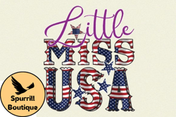 little miss usa design 82