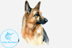 german shepherd watercolor dog clipart design 98