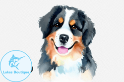 bernese mountain dog watercolor clipart design 99