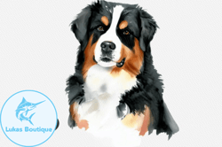 bernese mountain dog watercolor clipart design 100