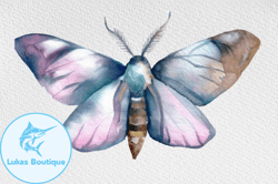 watercolor clipart. moth boho butterfly design 101