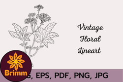 vintage floral line art design 173