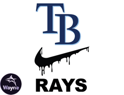 tampa bay rays png, nike mlb png, baseball team png,  mlb teams png ,  mlb logo design 21