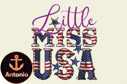 little miss usa design 82