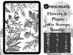 procreate - 100+ flowers and plants stamps, hand drawn and digitized images & design fineline stamps - commercial use