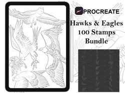 procreate - 100 eagle stamps, hand drawn and digitized images & design fineline stamps - commercial use, procreate brush