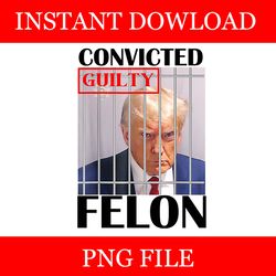 convicted guilty felon donald trump png
