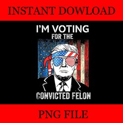 i'm voting for the convicted felon flag png