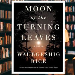 moon of the turning leaves: a novel