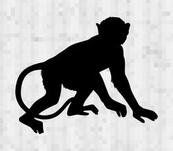 monkey svg monkey png monkey cricut monkey digital monkey