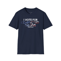 unisex trump 2024 shirt, patriotic tee, election shirt,i vote for convicted america shirt, political t-shirt, maga shirt