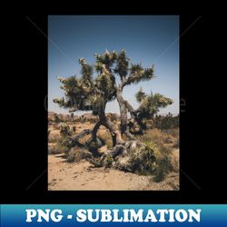 joshua tree photography v2 - digital sublimation download file - fashionable and fearless