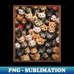 so many cats photo - professional sublimation digital download - revolutionize your designs