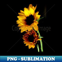 Sunflowers - Sublimation-Ready PNG File - Stunning Sublimation Graphics