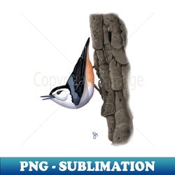 white-breasted nuthatch - png transparent sublimation file - stunning sublimation graphics