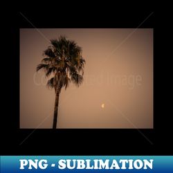 california palm tree under the moon photo v3 - png transparent digital download file for sublimation - unlock vibrant sublimation designs