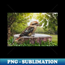 laughing blue-winged kookaburra bird sitting on tree stump - creative sublimation png download - stunning sublimation graphics